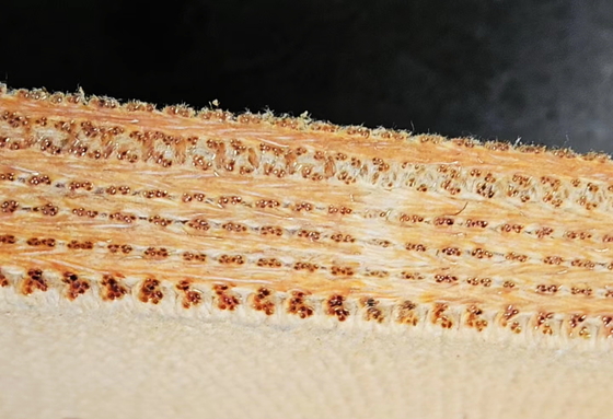 El material del bloque de freno de alambre de cobre es el alambre de alambre tejido de bronce reforzado